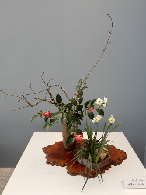 DSCN3030.JPG