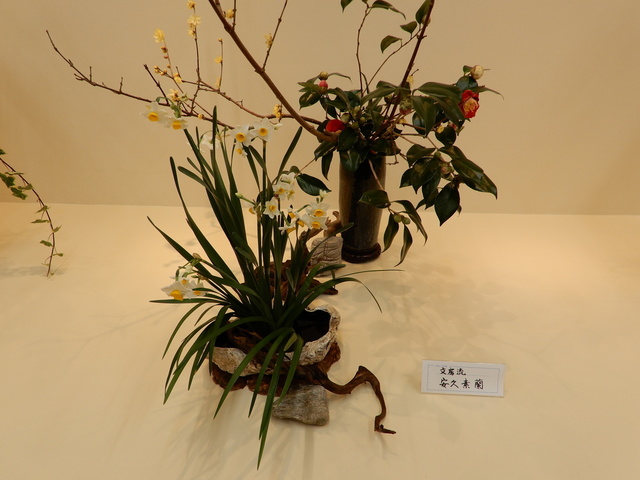 DSCN3114.JPG