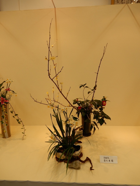 DSCN3115.JPG
