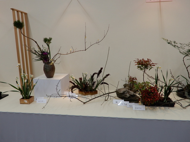 DSCN3047.JPG