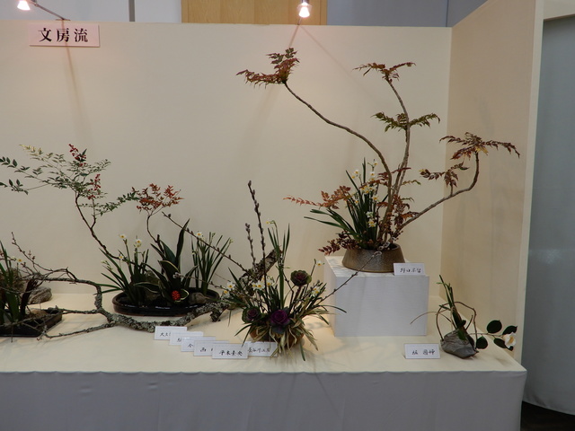 DSCN3046.JPG