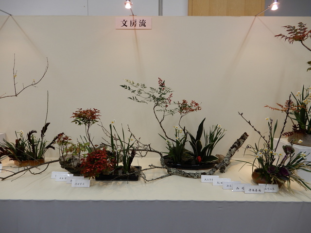 DSCN3050.JPG