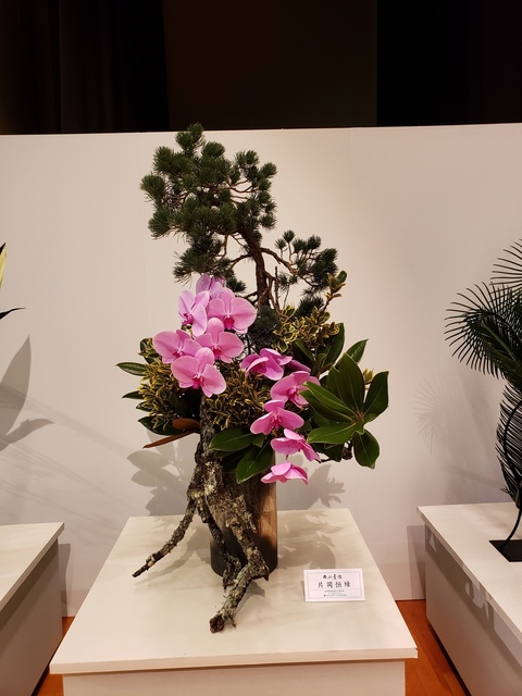 20221119_110636ぶ.jpg