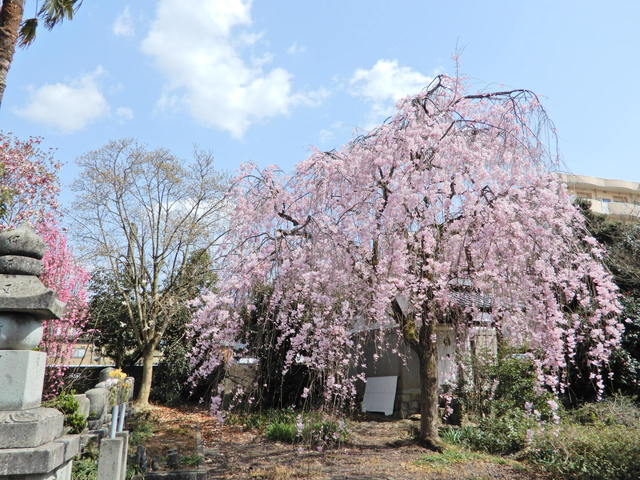 DSCN4599.JPG