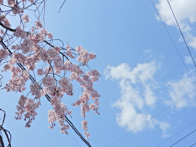 DSCN4610.JPG