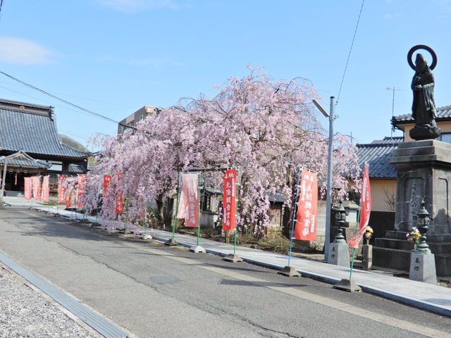 DSCN4631.JPG