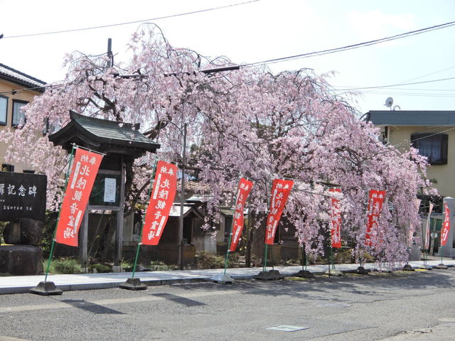 DSCN4607.JPG