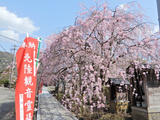 DSCN4612.JPG