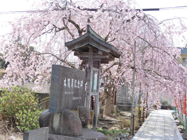 DSCN4608.JPG