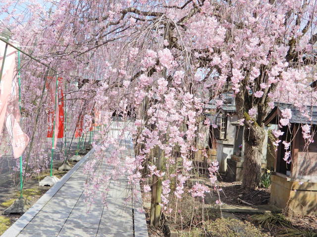 DSCN4613.JPG
