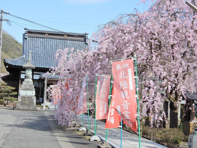 DSCN4633.JPG
