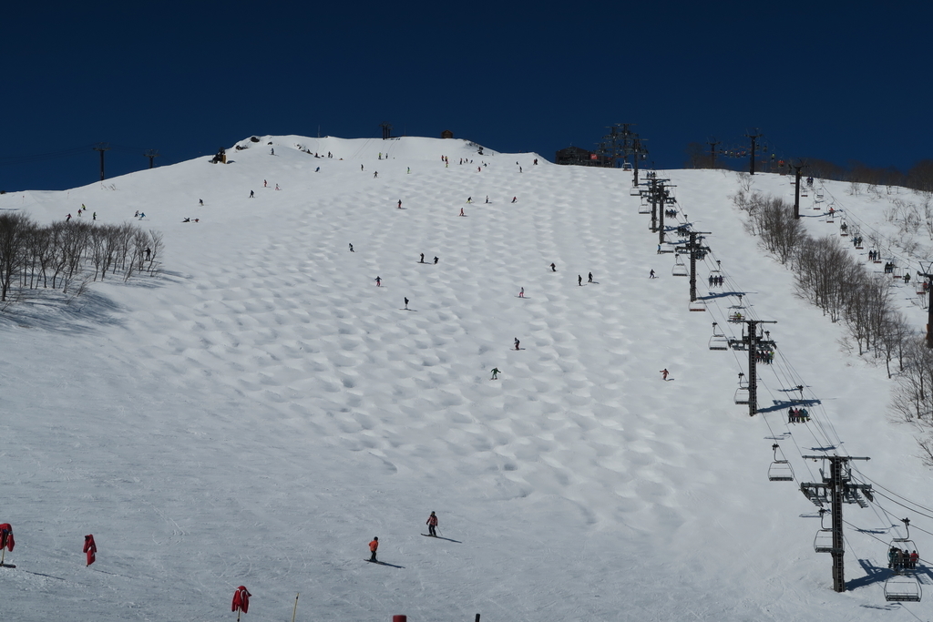 f:id:h_yukichi:20190228232816j:plain f:id:h_yukichi:20190228232816j:plain