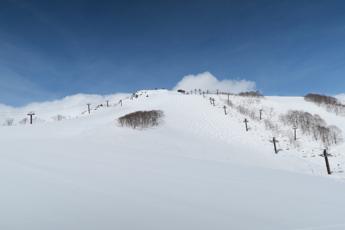 f:id:h_yukichi:20190324091319j:plain f:id:h_yukichi:20190324091319j:plain