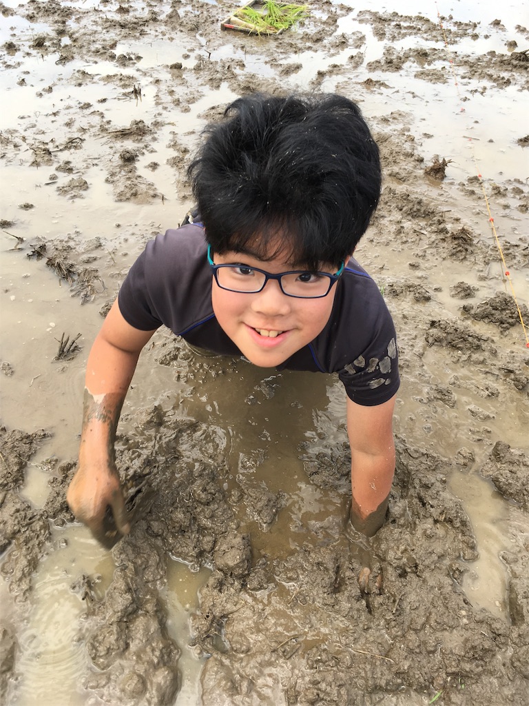 f:id:ha-life:20190606215022j:image