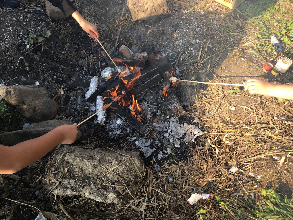 f:id:ha-life:20191031231136j:image