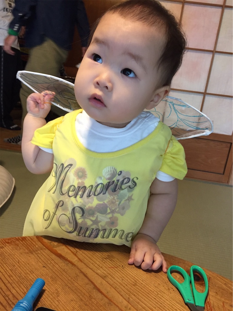 f:id:ha-life:20191101074130j:image