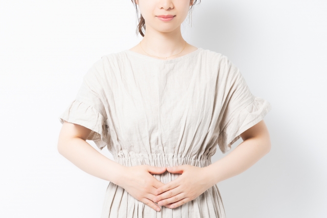f:id:ha-miha-mi:20210215220113j:plain