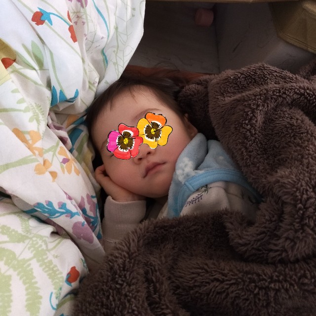 f:id:ha-nmama30:20210112143943j:image