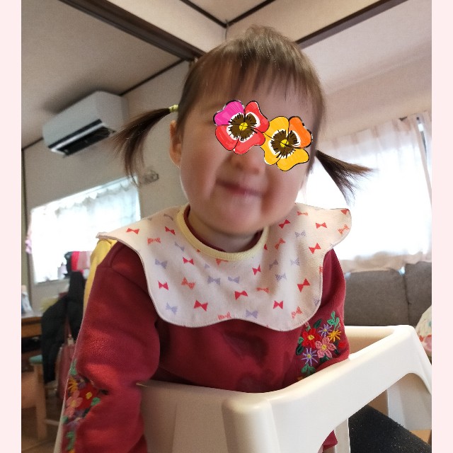 f:id:ha-nmama30:20210125092317j:image