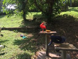 f:id:ha107chan:20170708112646j:plain f:id:ha107chan:20170708112646j:plain