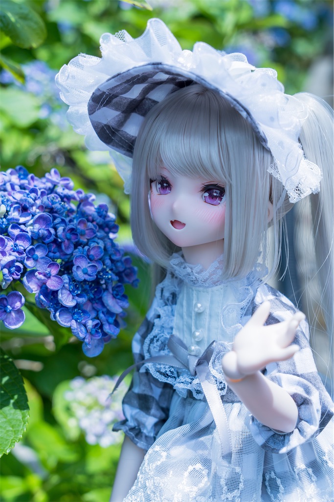 f:id:ha2sh1ma:20260615164729j:image