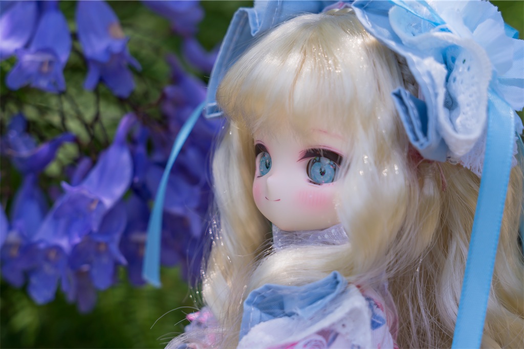 f:id:ha2sh1ma:20260615164752j:image