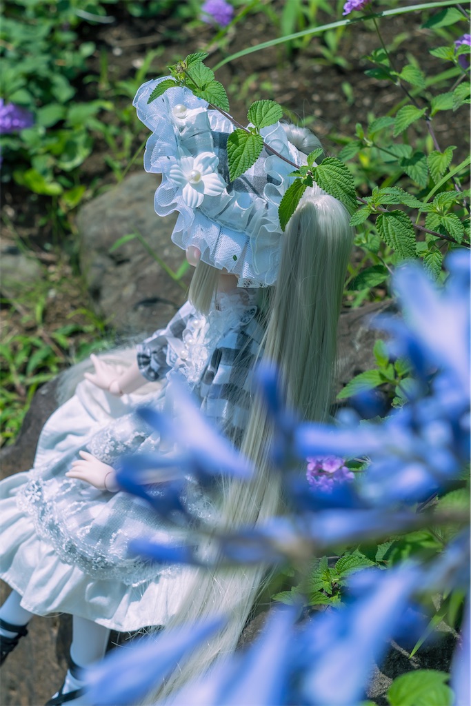 f:id:ha2sh1ma:20260618121515j:image