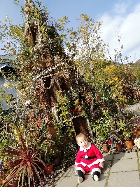 f:id:ha4ba25:20191231001650j:image f:id:ha4ba25:20191231001650j:image