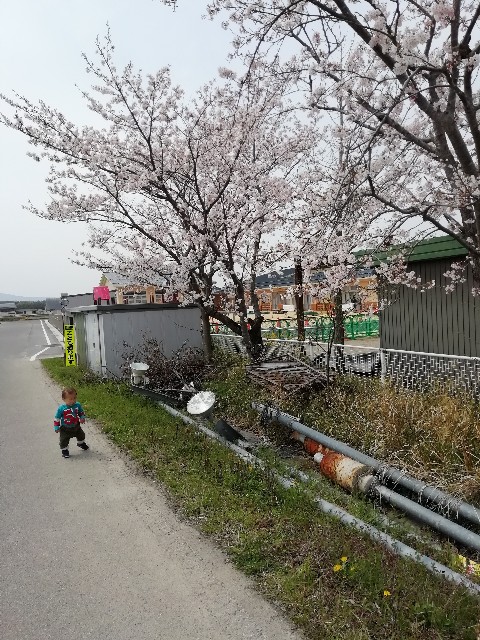 f:id:ha4ba25:20200407000404j:image