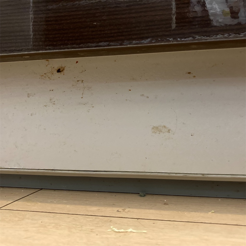 f:id:ha_chanhome:20210916174709j:image f:id:ha_chanhome:20210916174709j:image