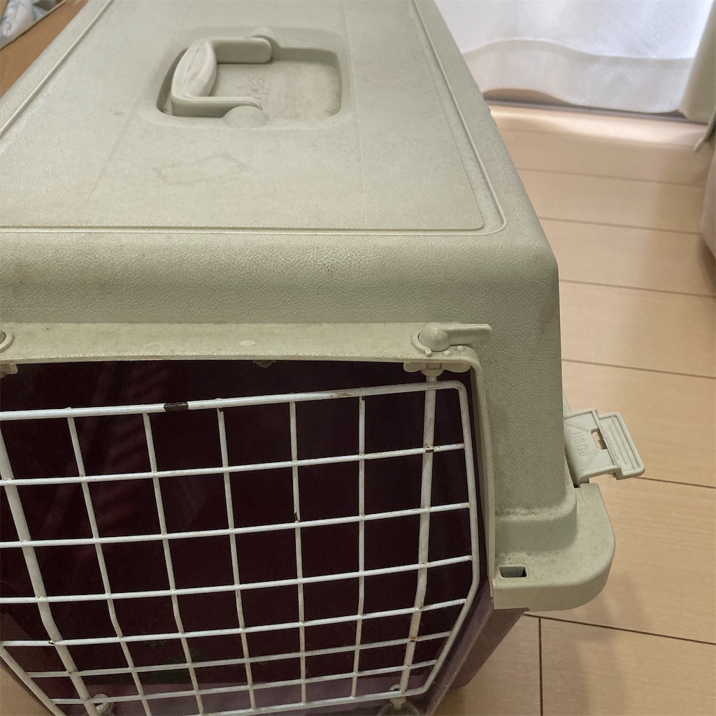 f:id:ha_chanhome:20211001144845j:image f:id:ha_chanhome:20211001144845j:image