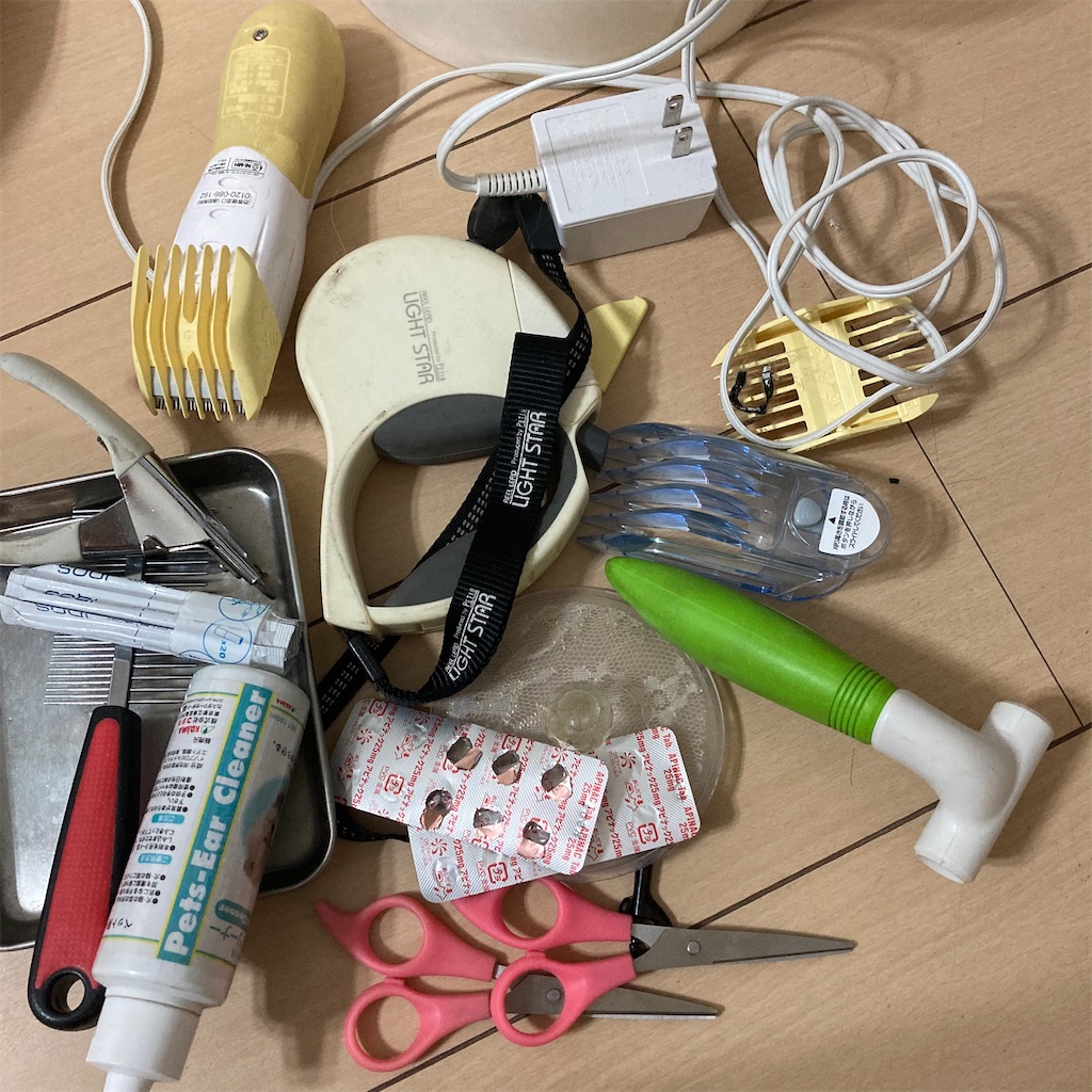 f:id:ha_chanhome:20211001144849j:image f:id:ha_chanhome:20211001144849j:image