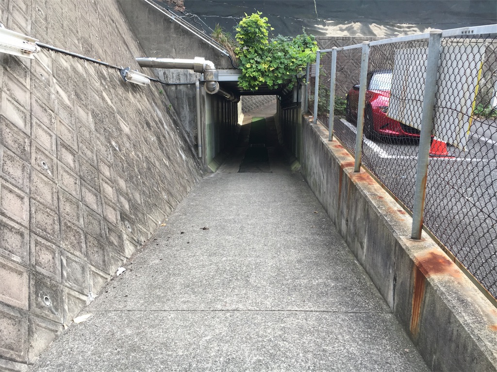 f:id:haaachi8:20181115220242j:image