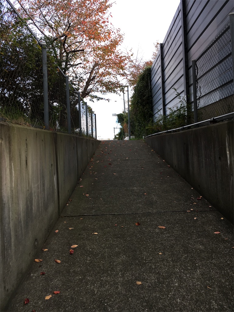 f:id:haaachi8:20181115220246j:image