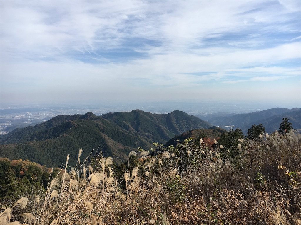 f:id:haaachi8:20190121111608j:image