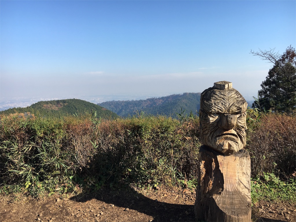 f:id:haaachi8:20190121112143j:image