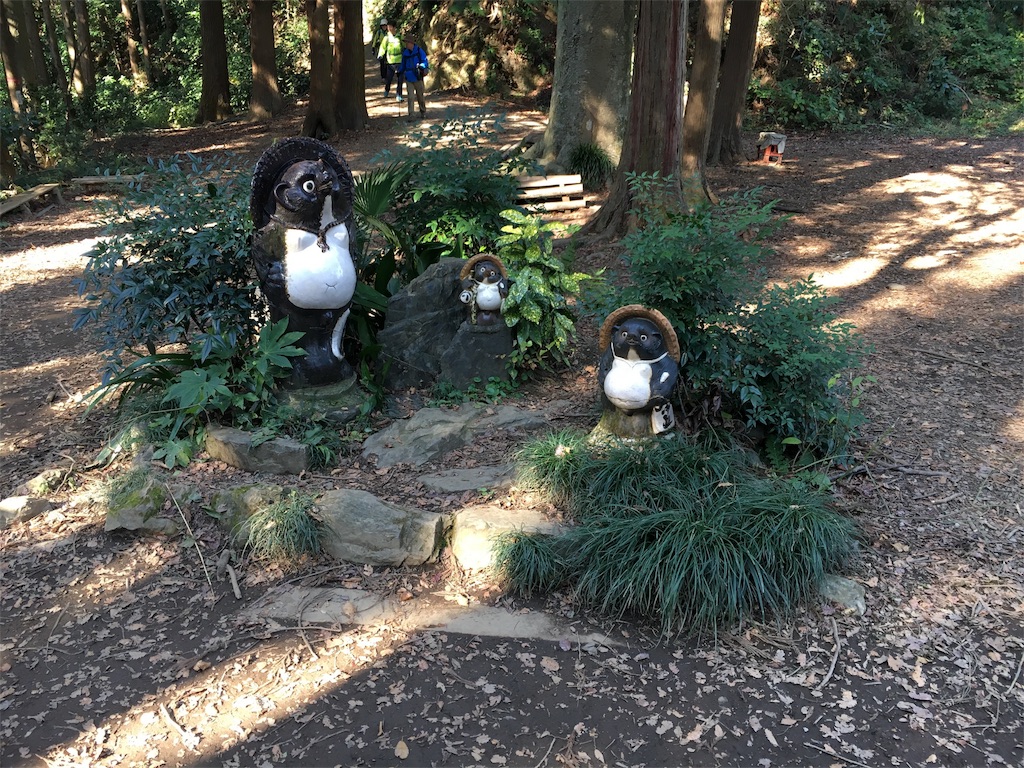 f:id:haaachi8:20190121112148j:image