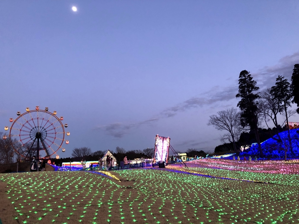 f:id:haachang:20190119101634j:plain f:id:haachang:20190119101634j:plain