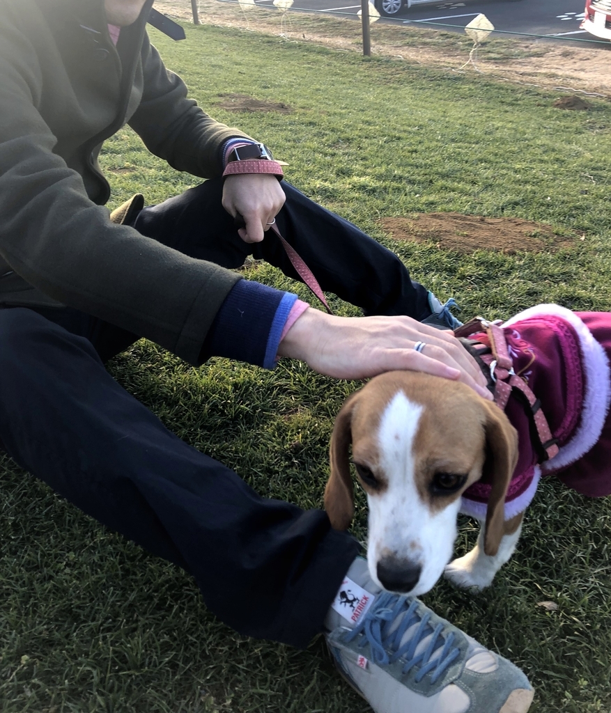 f:id:haachang:20190120192258j:plain f:id:haachang:20190120192258j:plain