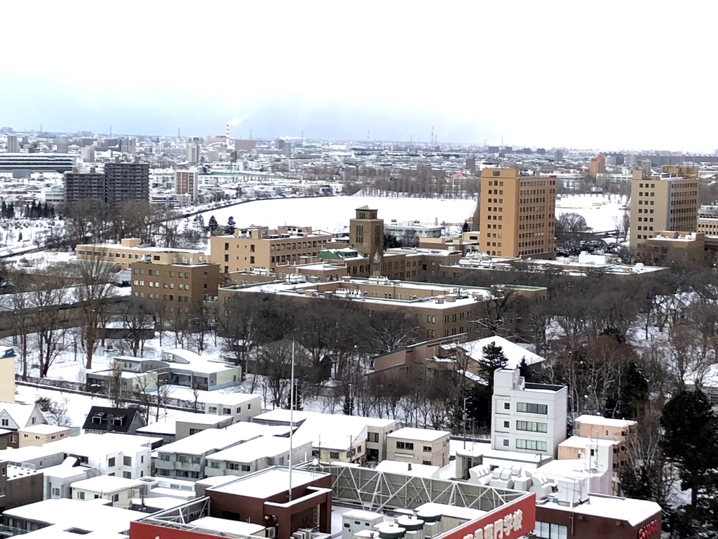 f:id:haachang:20190122184420j:plain f:id:haachang:20190122184420j:plain