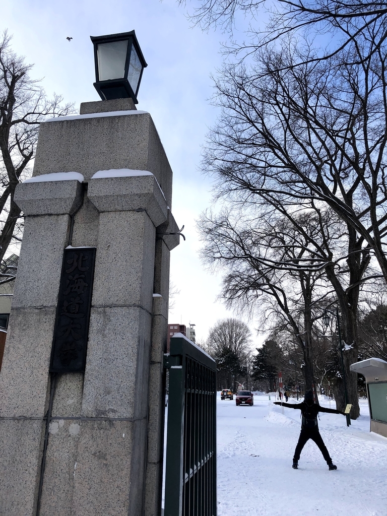 f:id:haachang:20190122184433j:plain f:id:haachang:20190122184433j:plain
