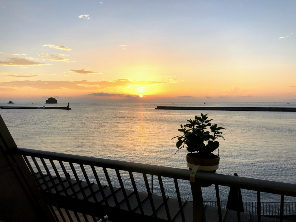 f:id:haachang:20190130113722j:plain f:id:haachang:20190130113722j:plain