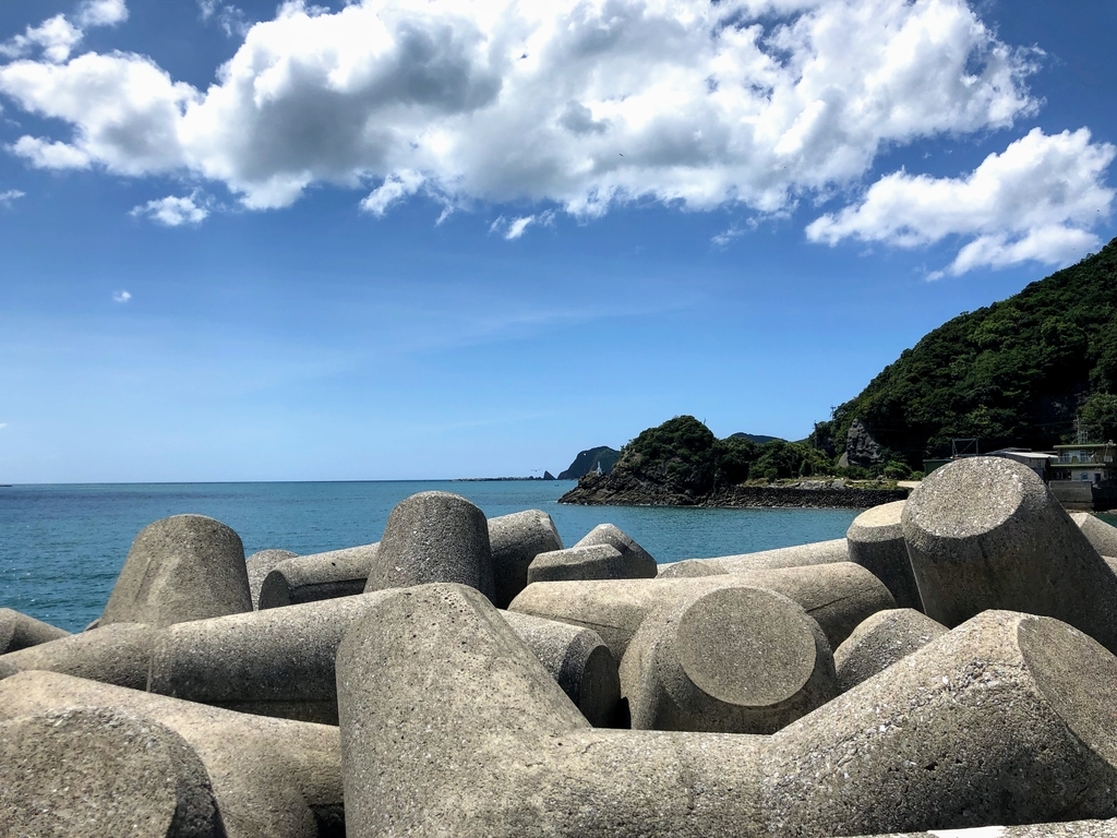 f:id:haachang:20190130115146j:plain f:id:haachang:20190130115146j:plain