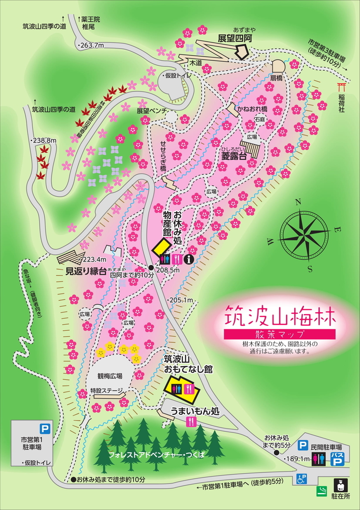 f:id:haachang:20190205174036j:plain f:id:haachang:20190205174036j:plain