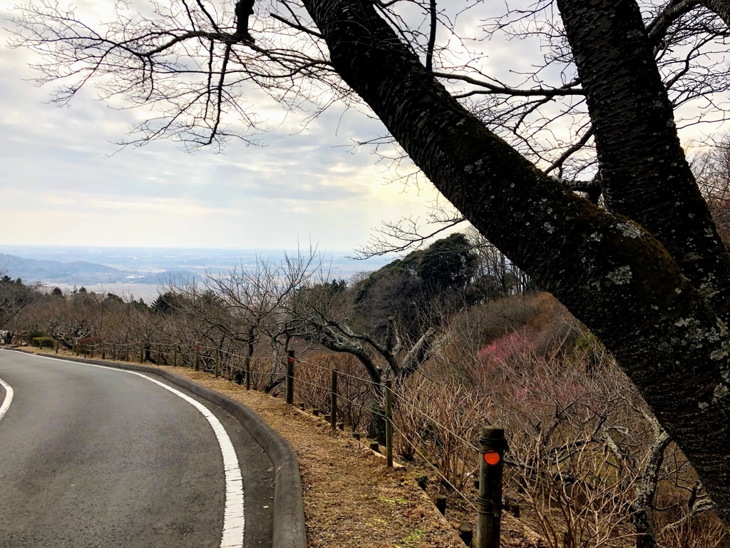 f:id:haachang:20190205175908j:plain f:id:haachang:20190205175908j:plain
