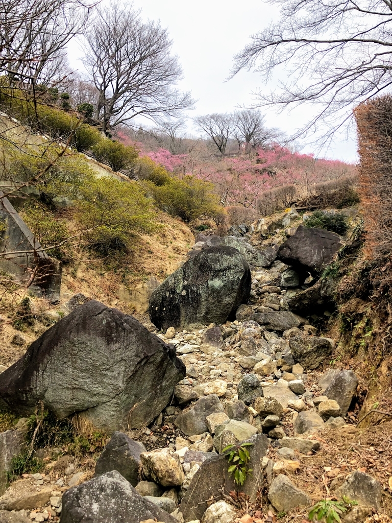 f:id:haachang:20190205175912j:plain f:id:haachang:20190205175912j:plain
