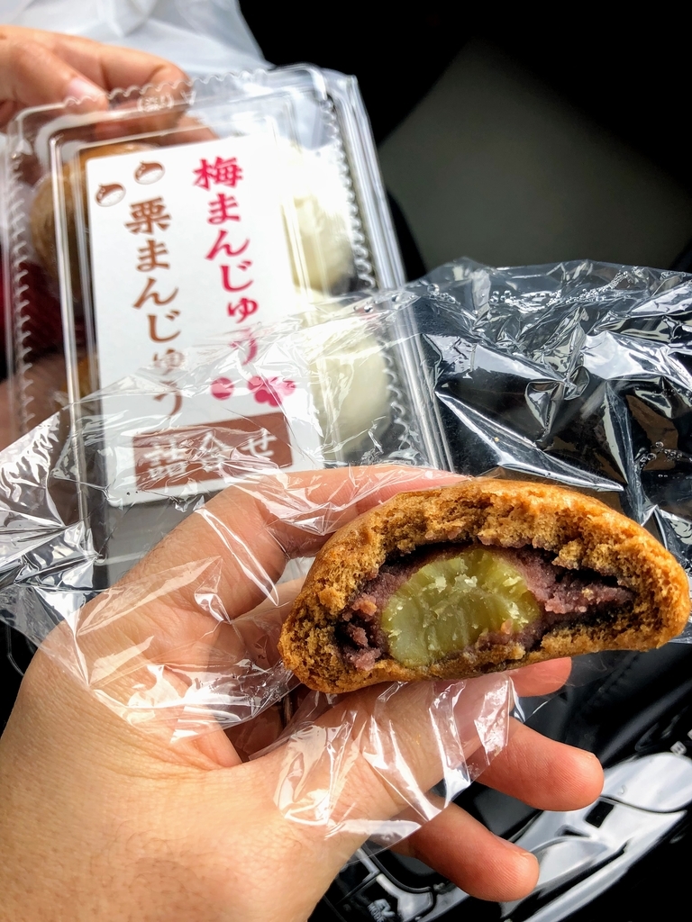 f:id:haachang:20190205182620j:plain f:id:haachang:20190205182620j:plain