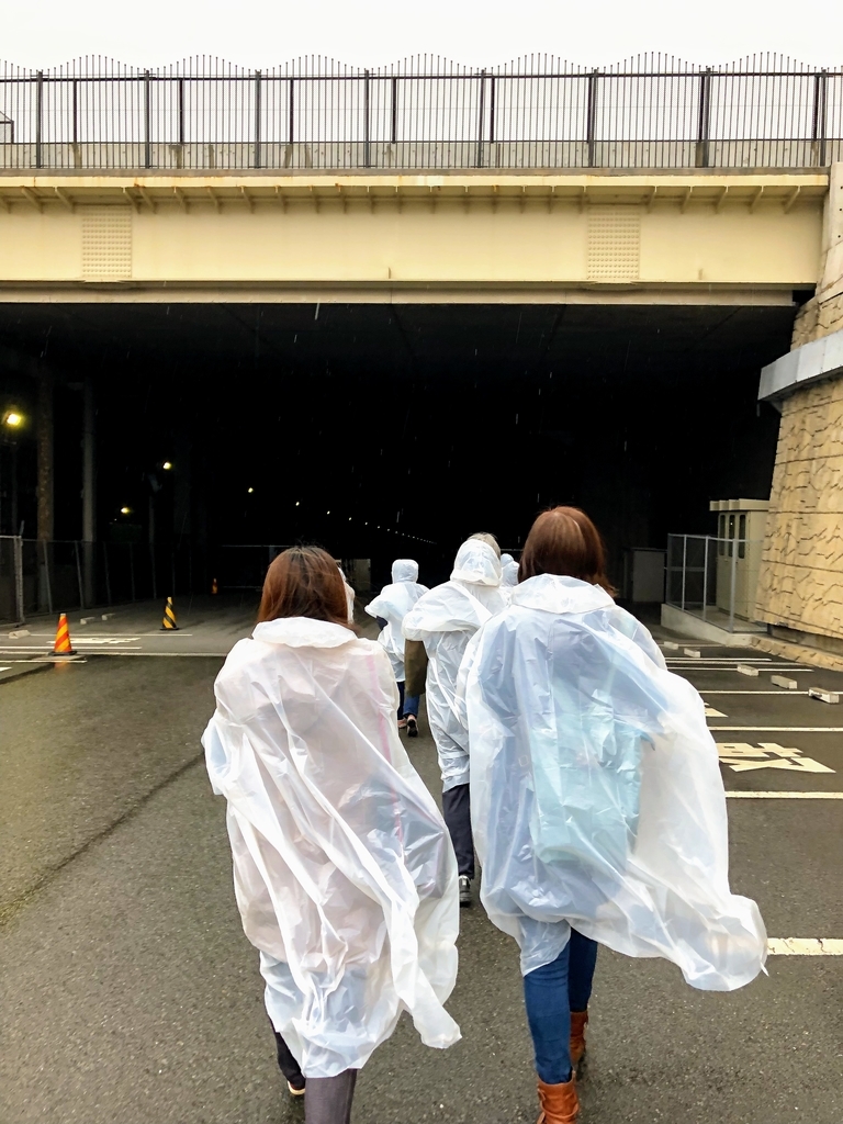 f:id:haachang:20190207085829j:plain f:id:haachang:20190207085829j:plain