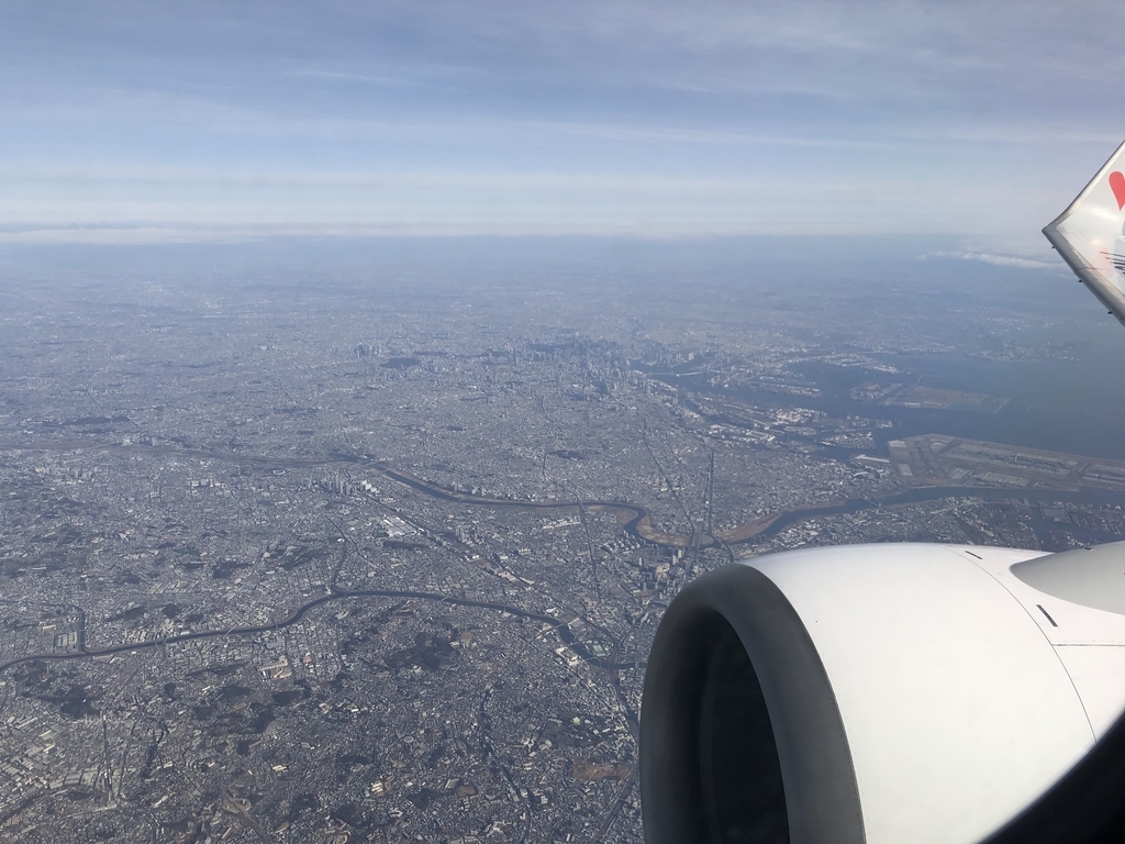 f:id:haachang:20190211191559j:plain f:id:haachang:20190211191559j:plain