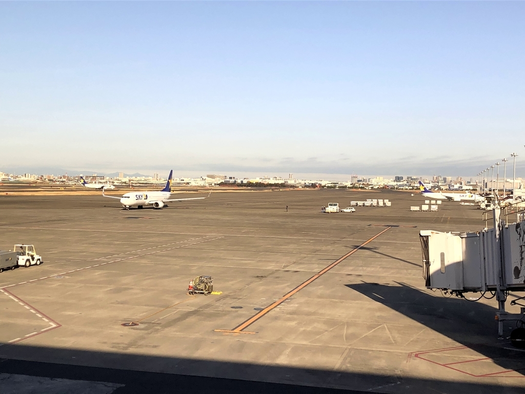 f:id:haachang:20190211191638j:plain f:id:haachang:20190211191638j:plain